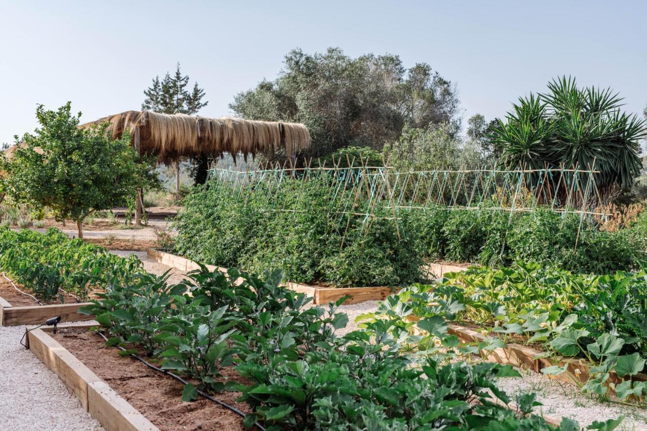 Agroturismo Can Domo Санта-Эулалия-дель-Рио Экстерьер фото